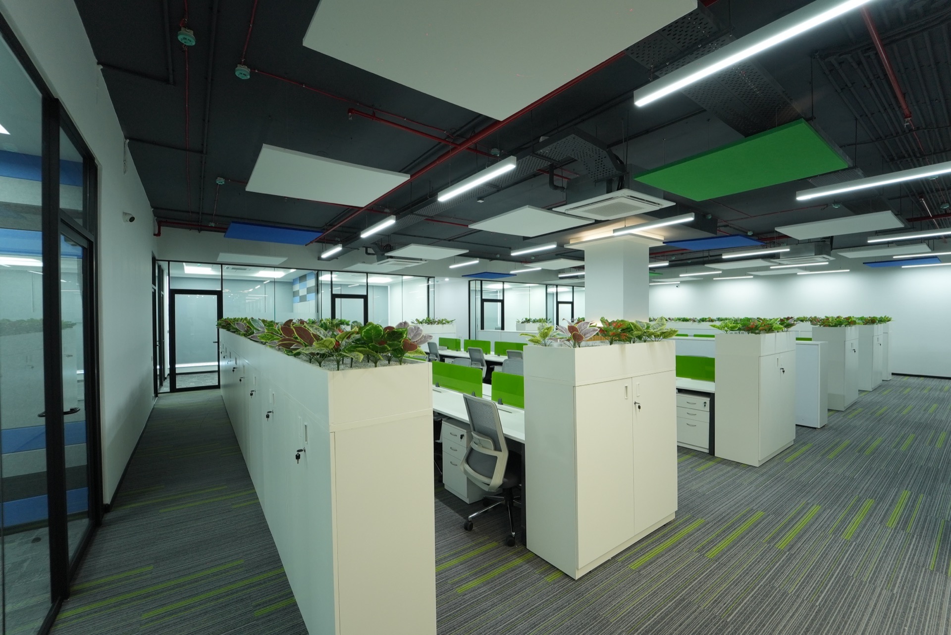 Collaboration area
