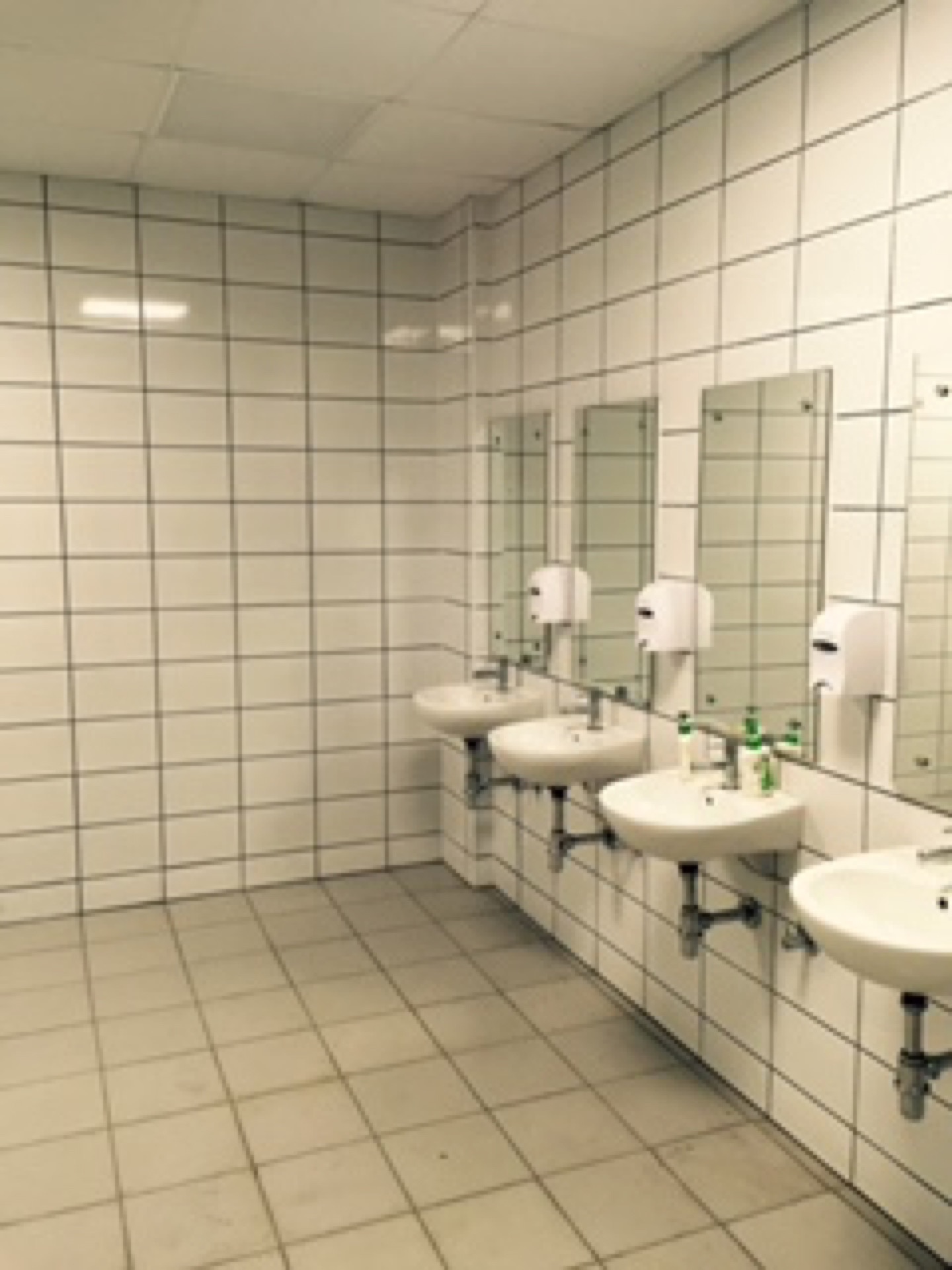 Washroom detail