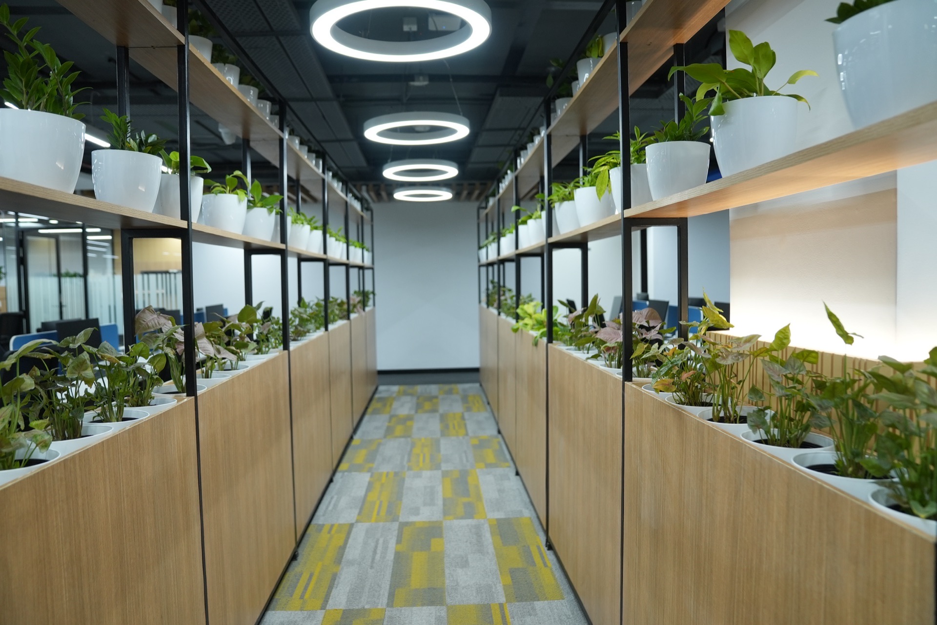 Zycus HQ — modern IT workspace